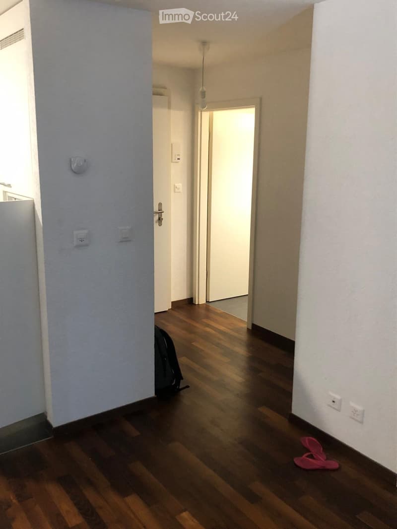 Modern 2.5-room apartment in the city center (4)
