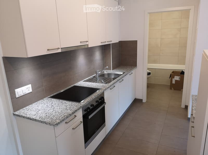 Beautiful 2.5-room modern apartment (2)