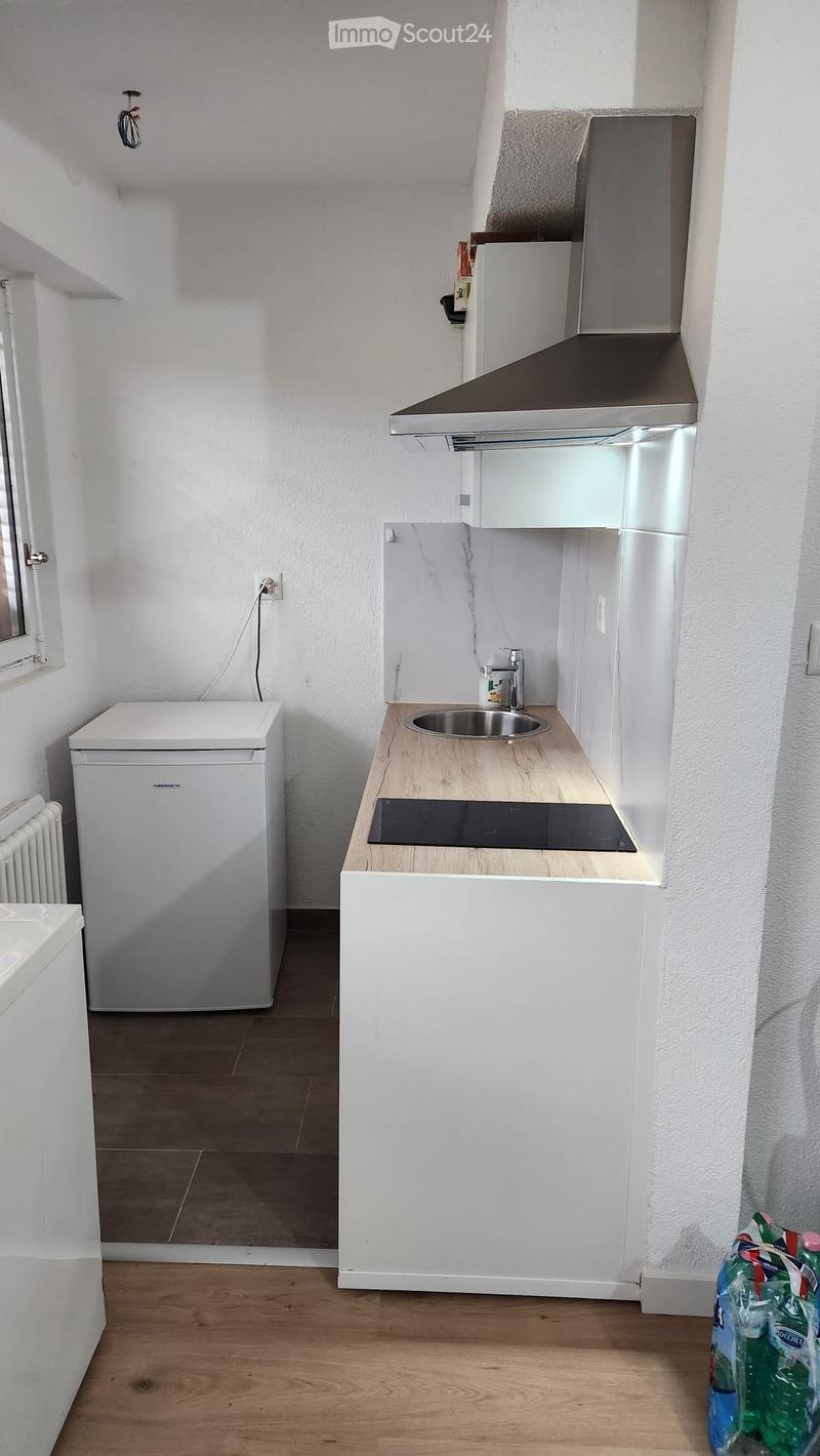 Appartamento studio in affitto (2)