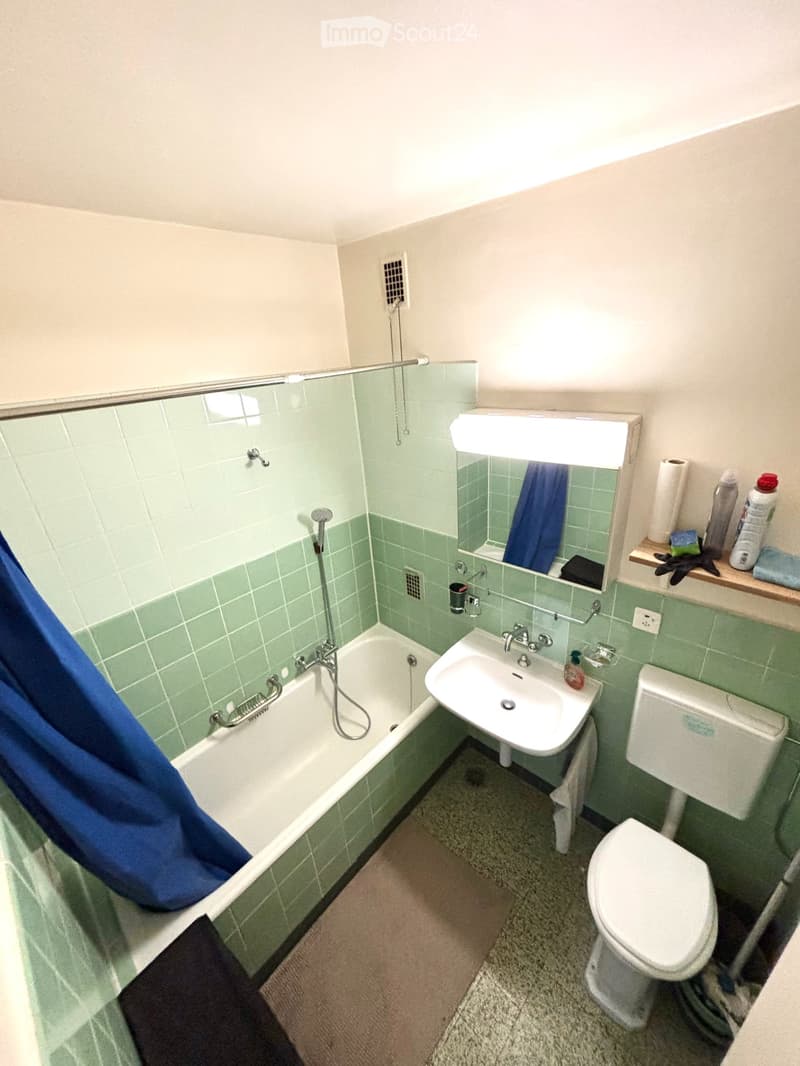 Großes Zimmer in Wohngemeinschaft - Lausanne Beaulieu (5)