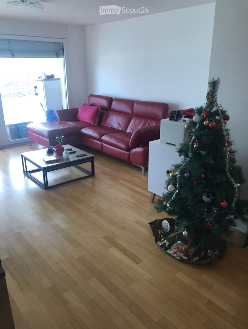 Beautiful sunny apartment (4)