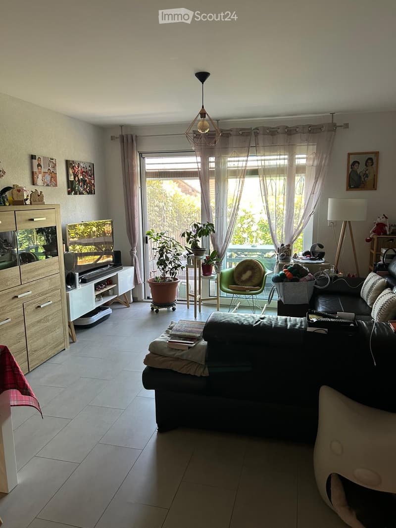 Appartamento di 3,5 locali in vendita a Promasens (3)
