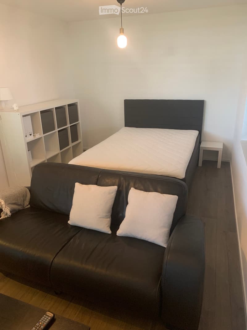 Grande studio moderno arredato (2)