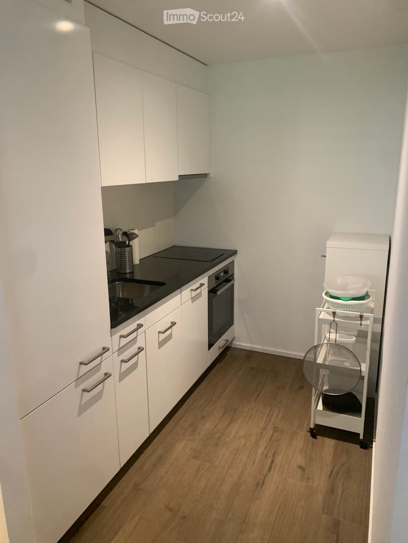 Grande studio moderno arredato (3)