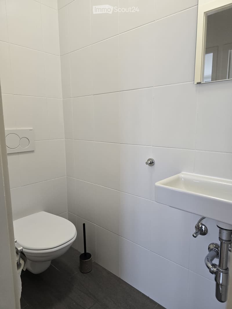 Helles 3,5-Zimmer-Wohnung in Châtelaine 87 (Genf) (4)