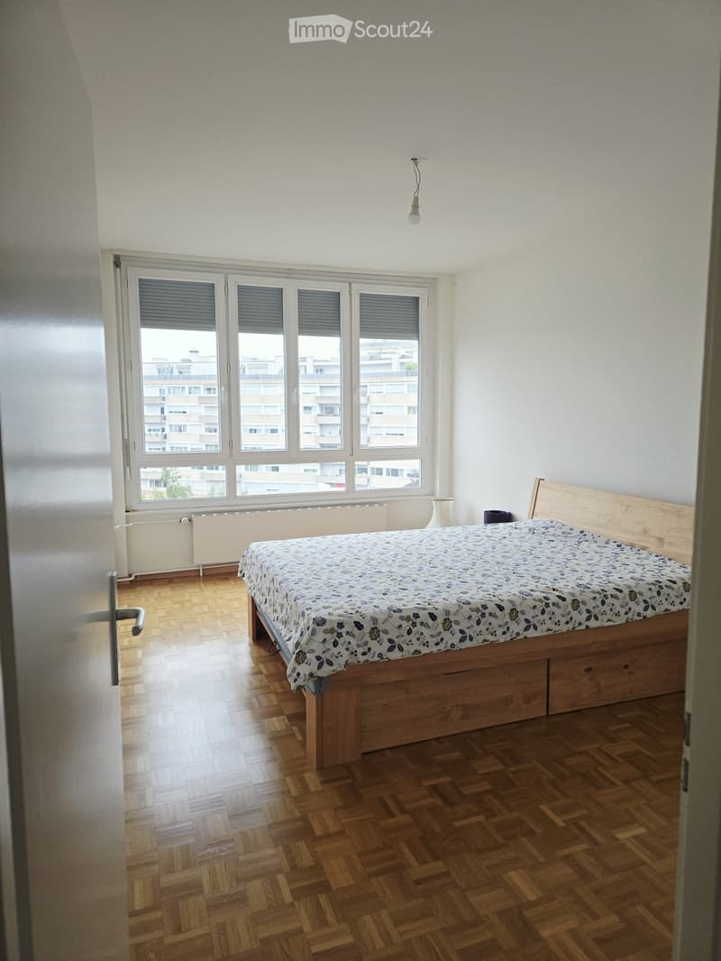Helles 3,5-Zimmer-Wohnung in Châtelaine 87 (Genf) (2)