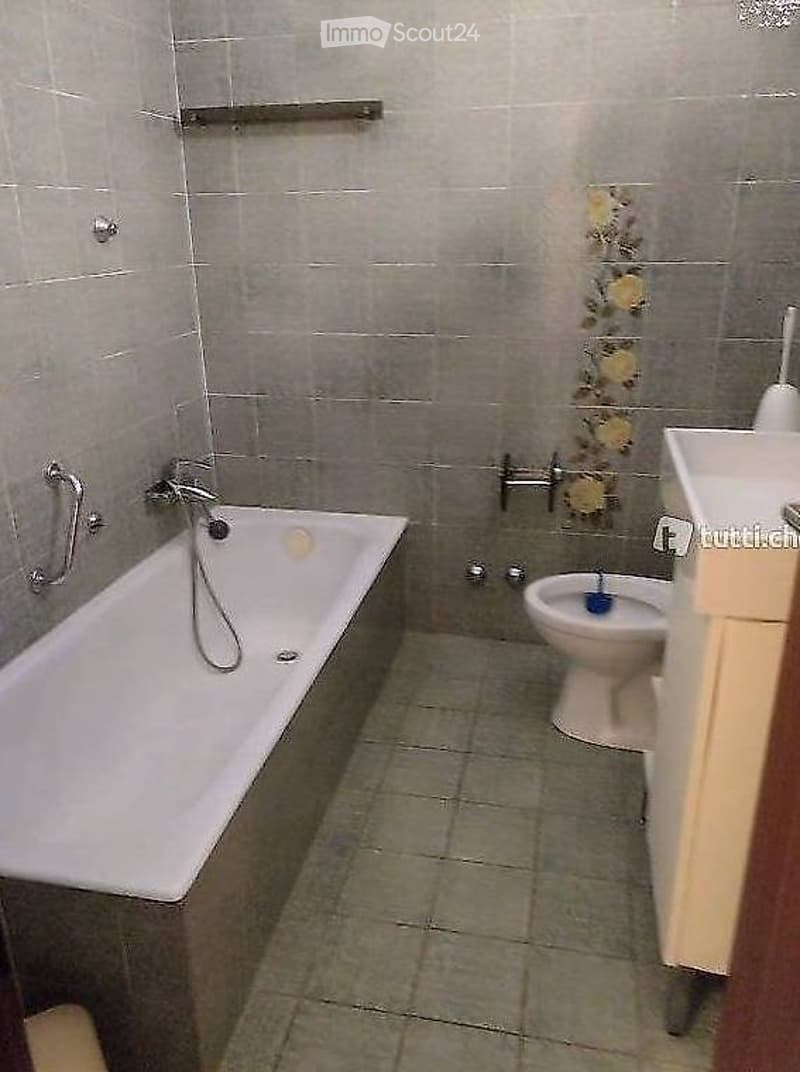 Appartement meublé à louer, sans balcon (2)