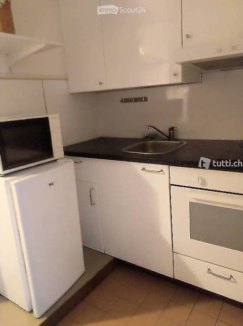 Appartement meublé à louer, sans balcon (3)