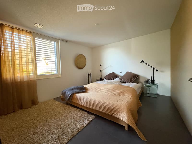 Splendide et vaste appartement (5)