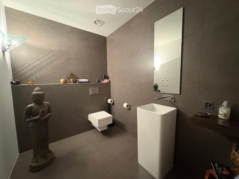 Splendide et vaste appartement (3)