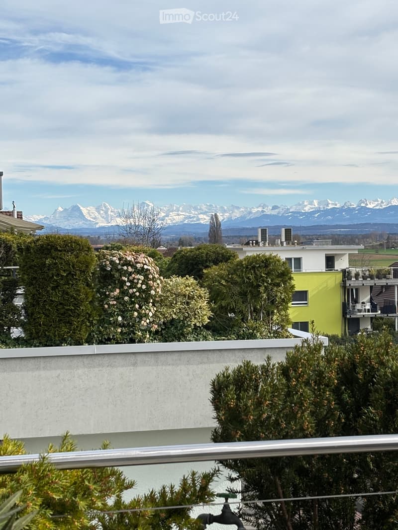 Splendide et vaste appartement (11)