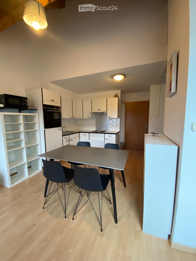 Appartement duplex meublé 2 pièces 42 m2 à Brétigny (3)
