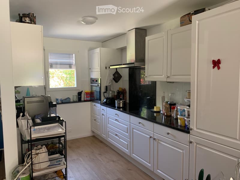 Reihen Einfamilienhaus 5,5 Zimmer 150 m2 (3)
