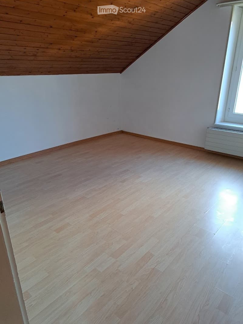 A louer, charmant 3,5 pièces (5)