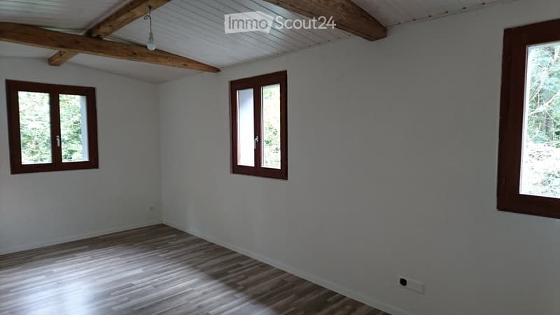 Apartment 4.5 rooms, in the charming village of Curtilles (2)