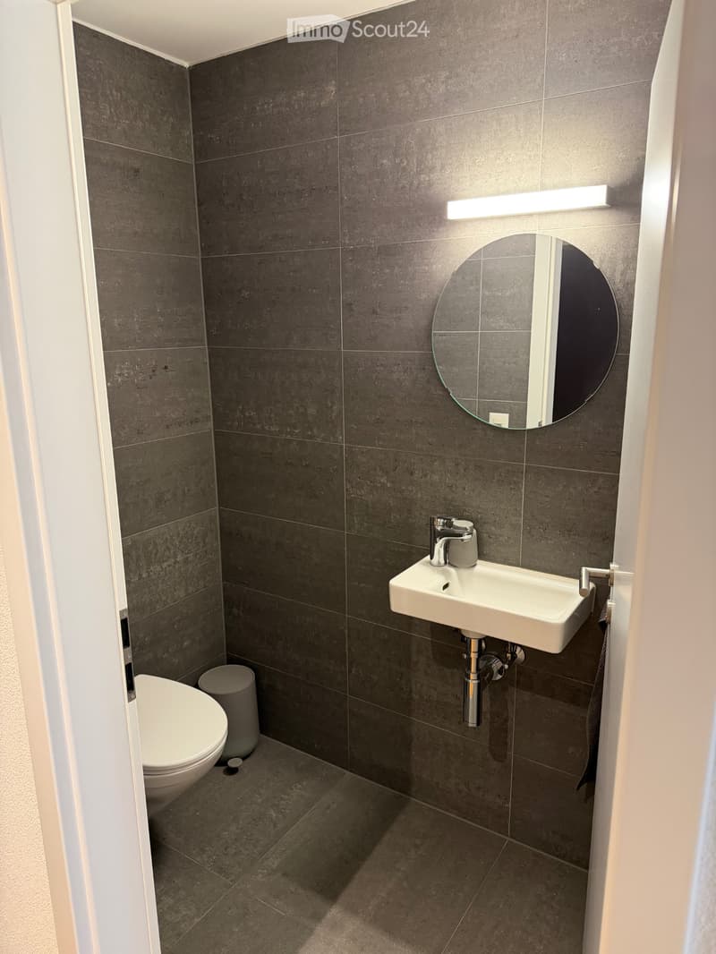 Beautiful 3.5 room apartment (5)