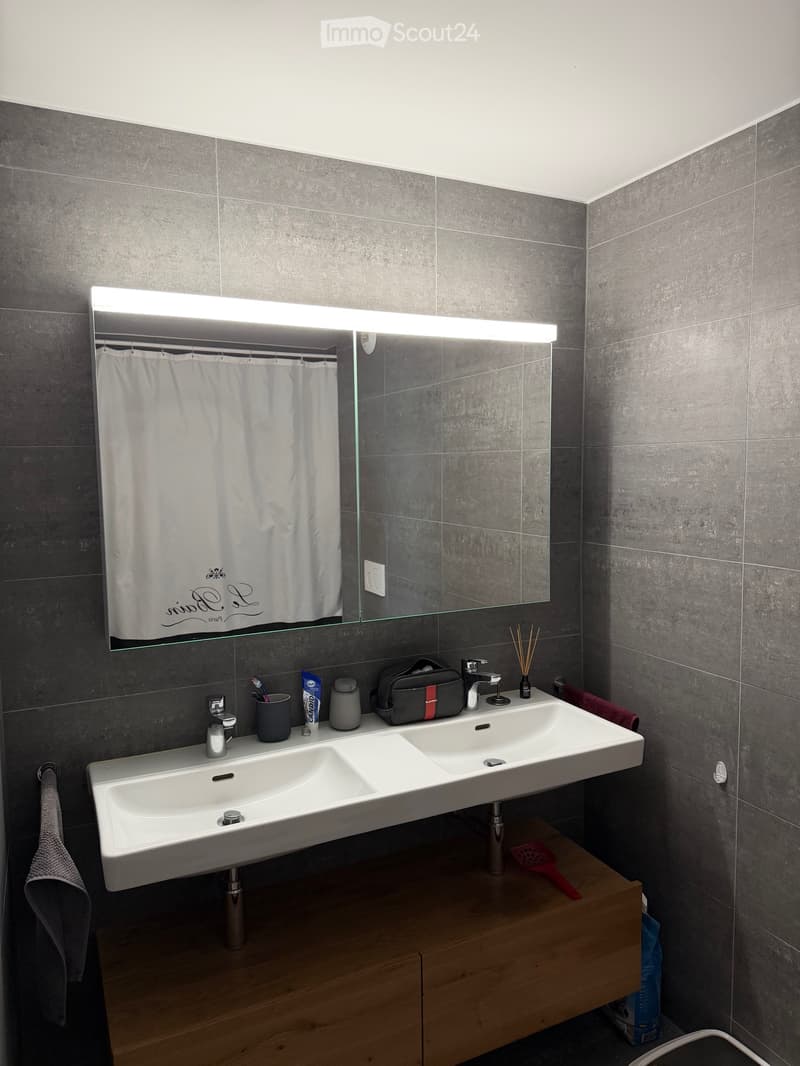 Beautiful 3.5 room apartment (4)