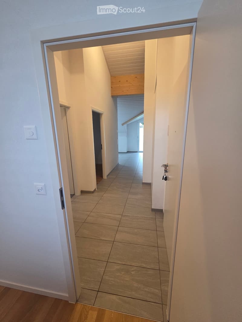 Ripreso in affitto, incantevole 3,5 locali (4)