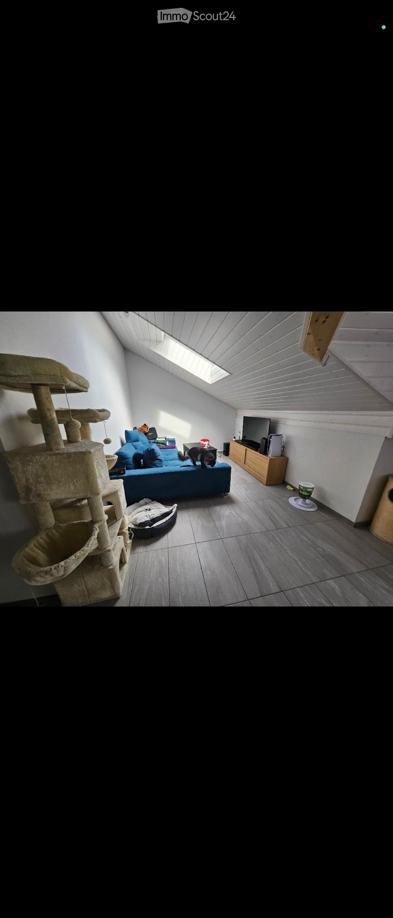 Takeover of lease, charming 3.5 rooms (3)