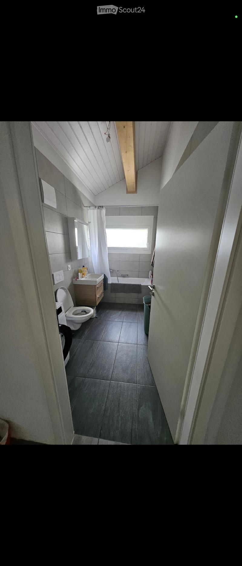 Takeover of lease, charming 3.5 rooms (6)
