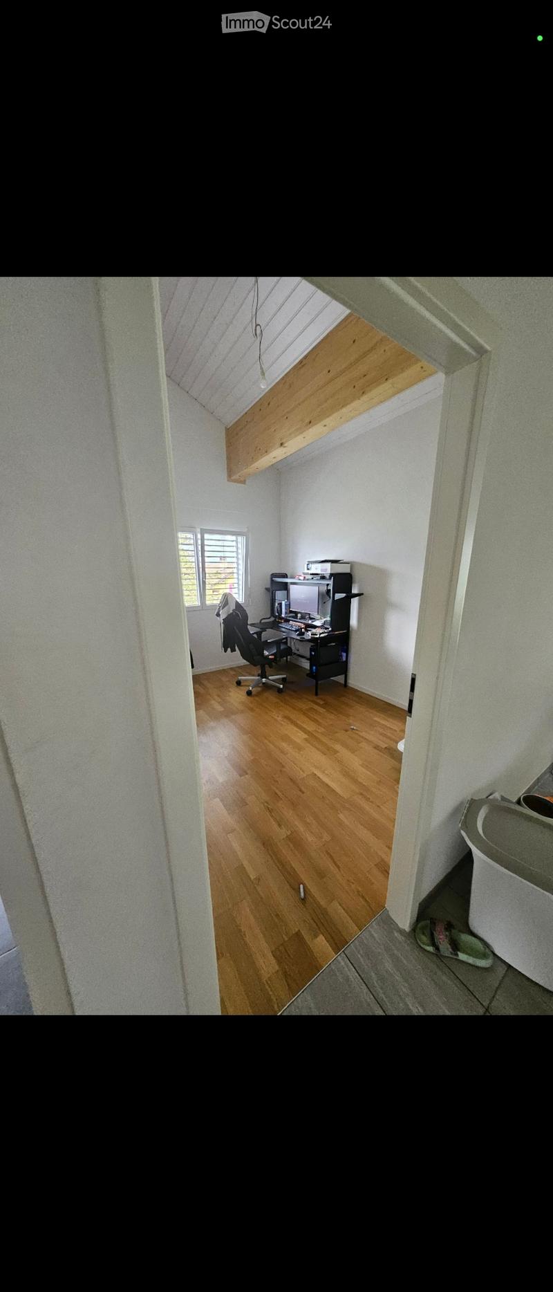 Takeover of lease, charming 3.5 rooms (5)