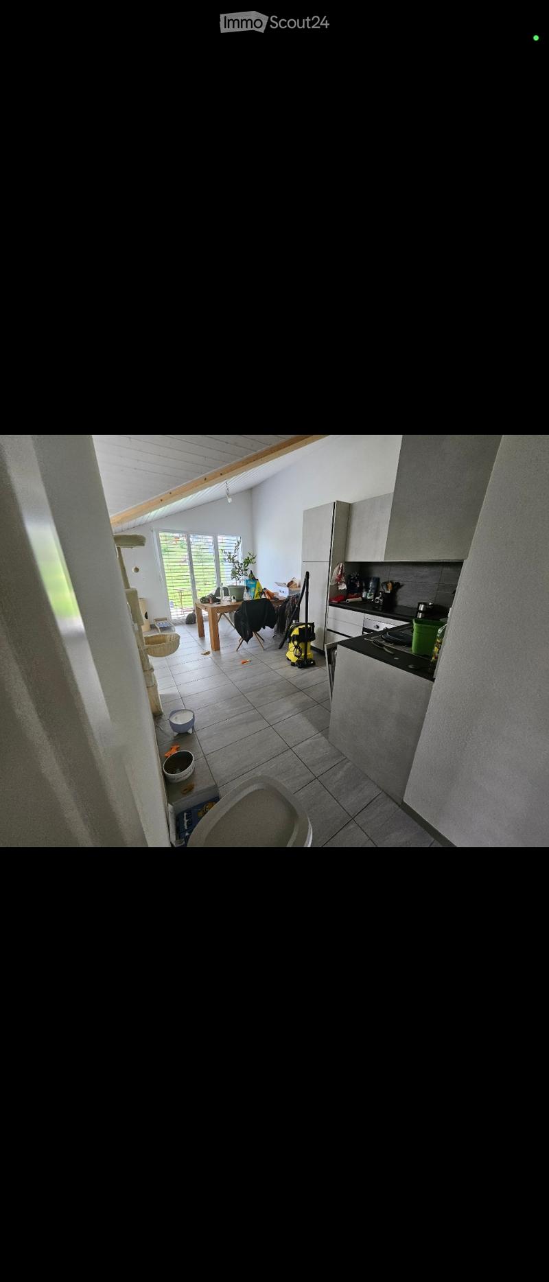 Takeover of lease, charming 3.5 rooms (4)