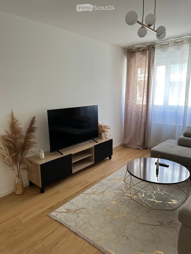 Furnished 3-room apartment (2)