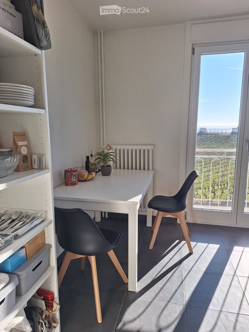 Bright studio close to public transportation (3)