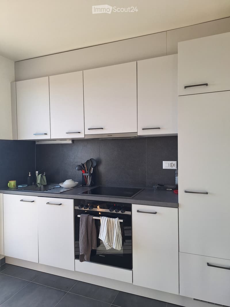 Bright studio close to public transportation (4)