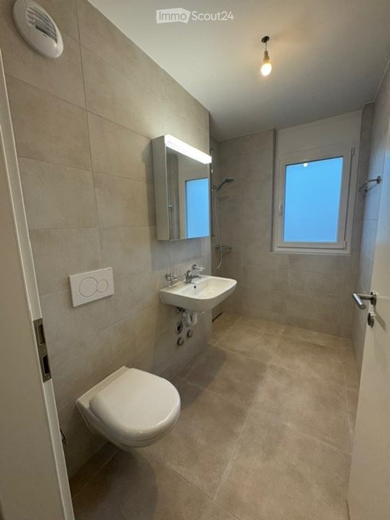 Beautiful new 2.5-room apartment for rent (4)