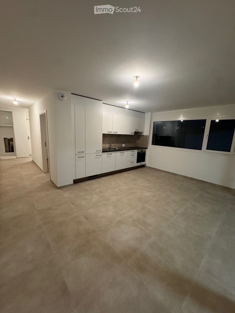 Beautiful new 2.5-room apartment for rent (8)