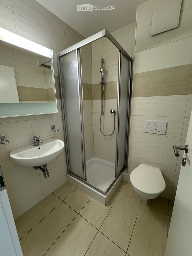 4.5 room apartment with garden and terrace for rent (2)