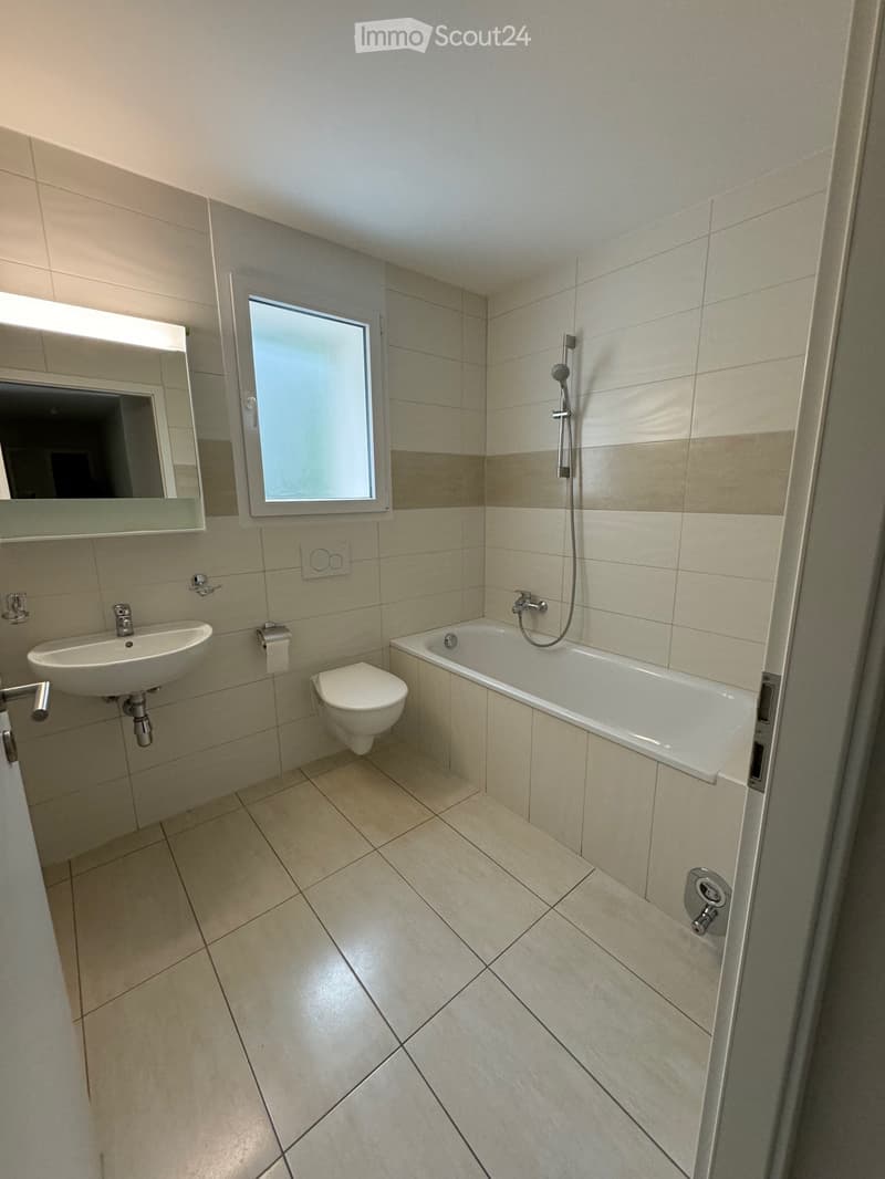 4.5 room apartment with garden and terrace for rent (3)