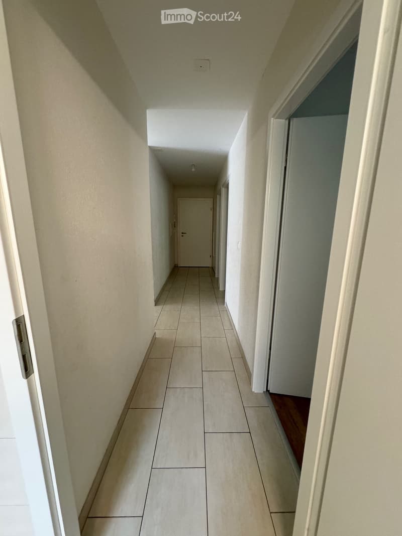 4.5 room apartment with garden and terrace for rent (7)