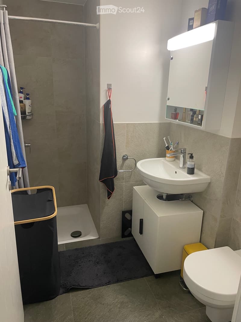 Wohnung 4,5 Zimmer neu zu übergeben (4)
