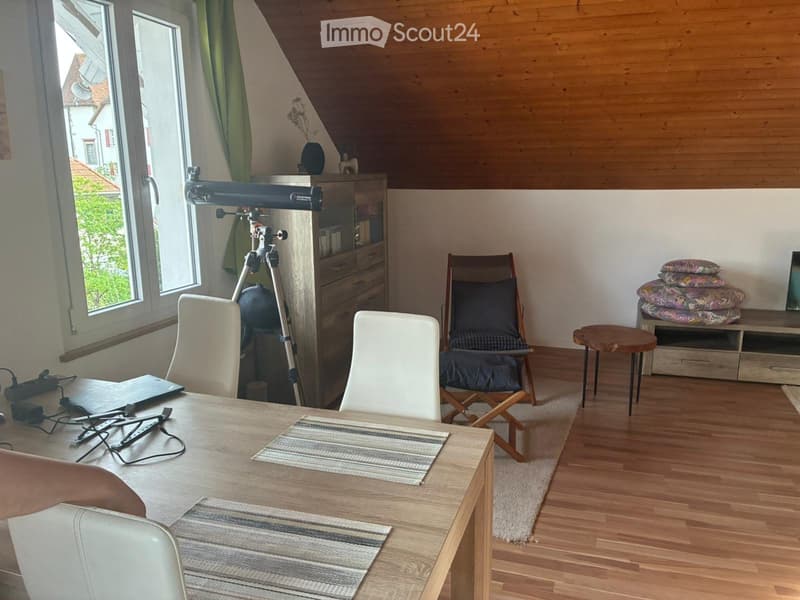 Appartamento accogliente 2.5 locali, 45 m², 2° piano senza ascensore (3)