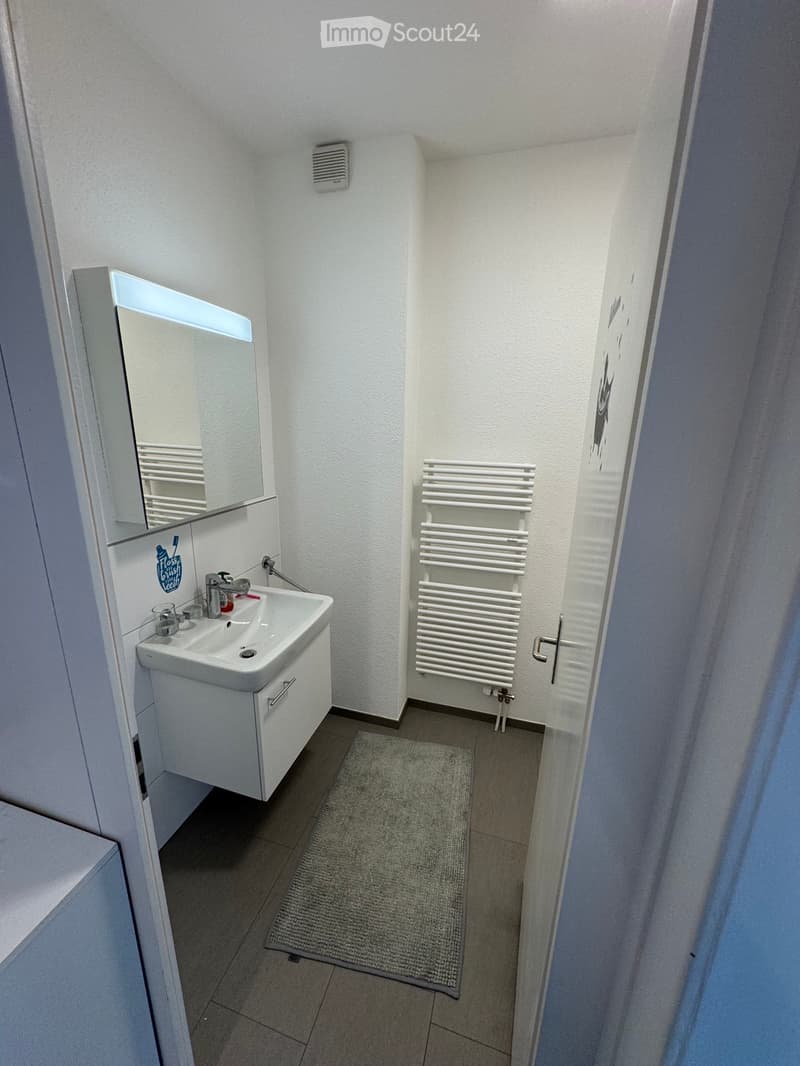 3.5 camere con vista sul lago (3)