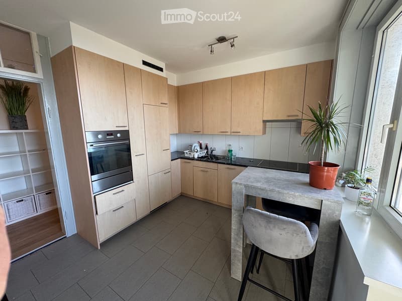 3.5 camere con vista sul lago (4)