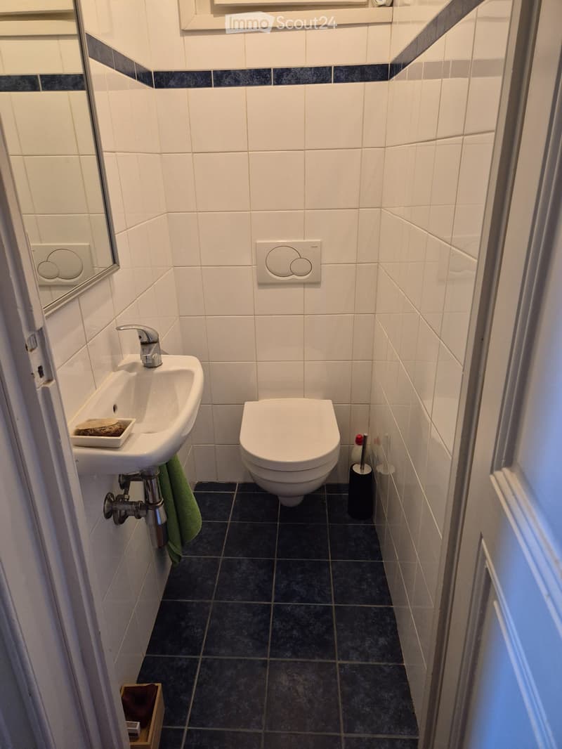 3-Zimmer-Wohnung - Jonction - Bailübernahme (10)