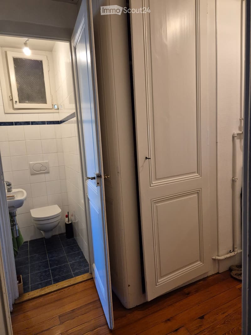 3-Zimmer-Wohnung - Jonction - Bailübernahme (9)