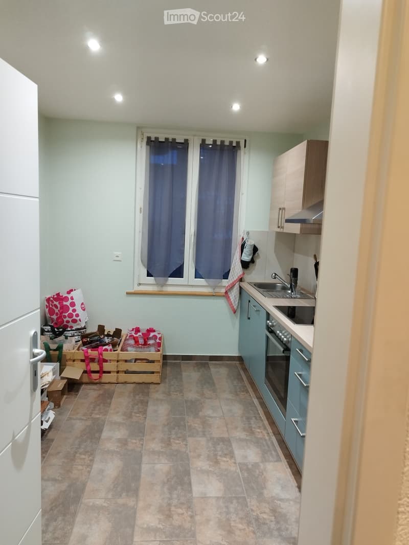 Appartamento 3 locali (4)