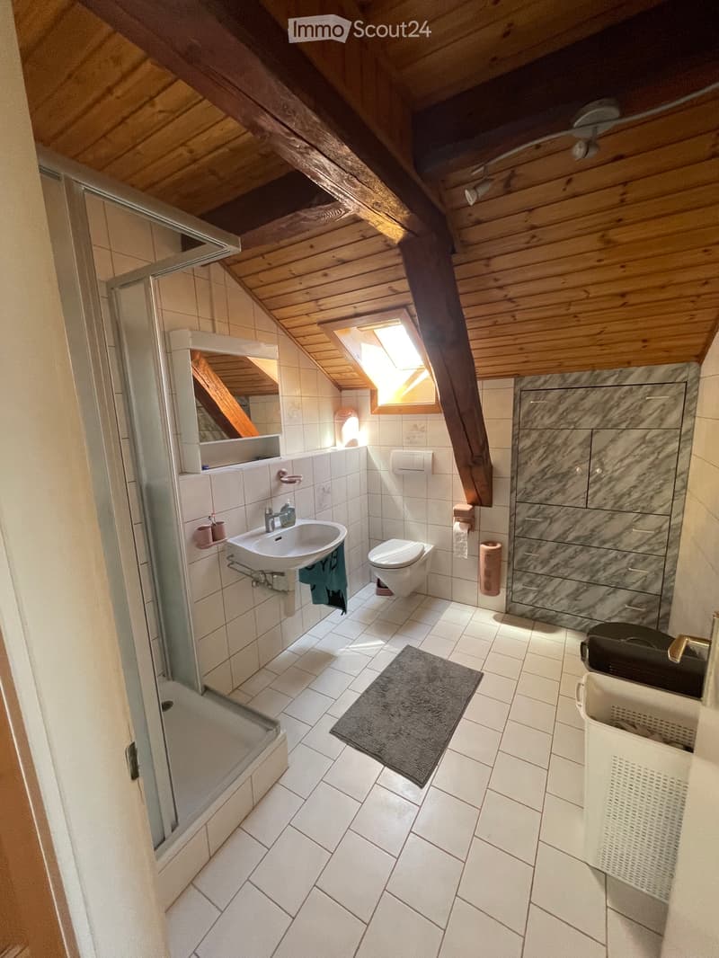 Appartamento in affitto 3 locali (3)
