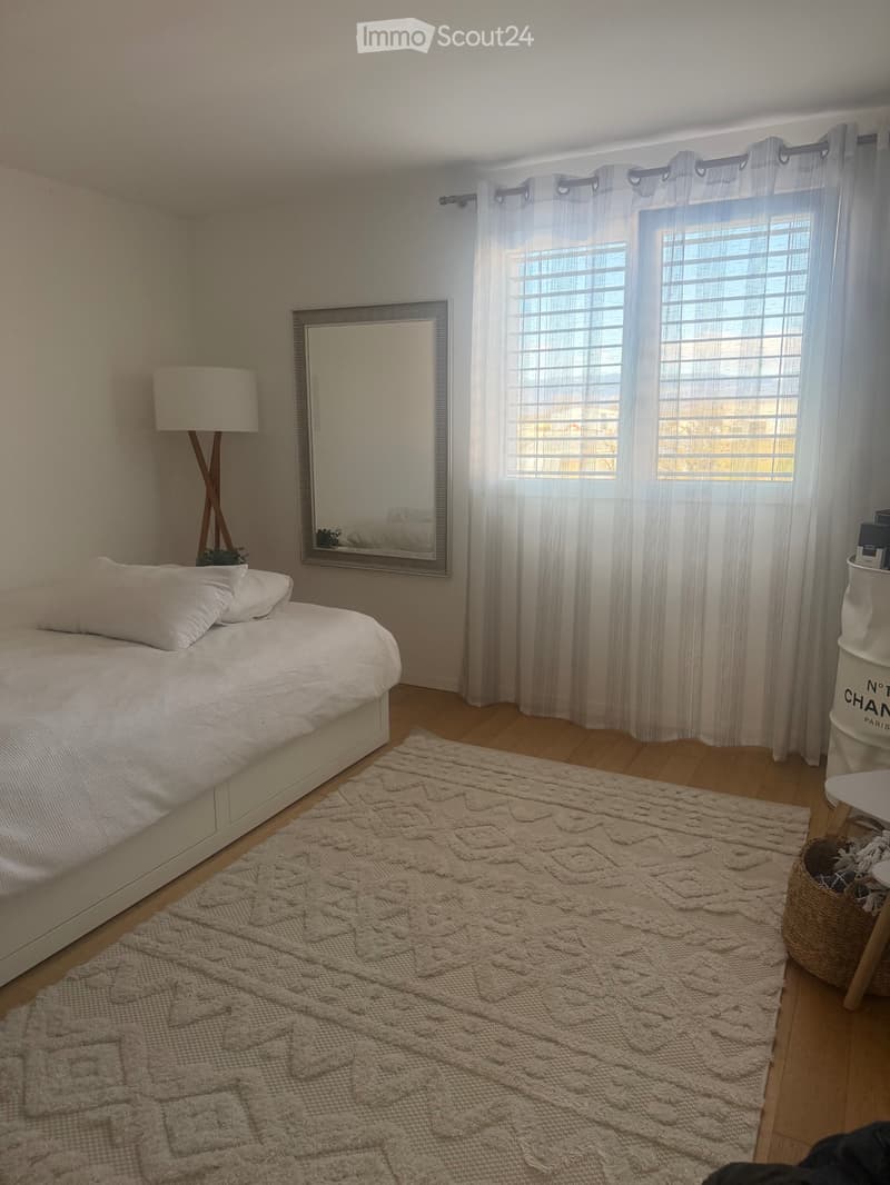 Magnificent 4.5-room apartment in Sugiez (9)