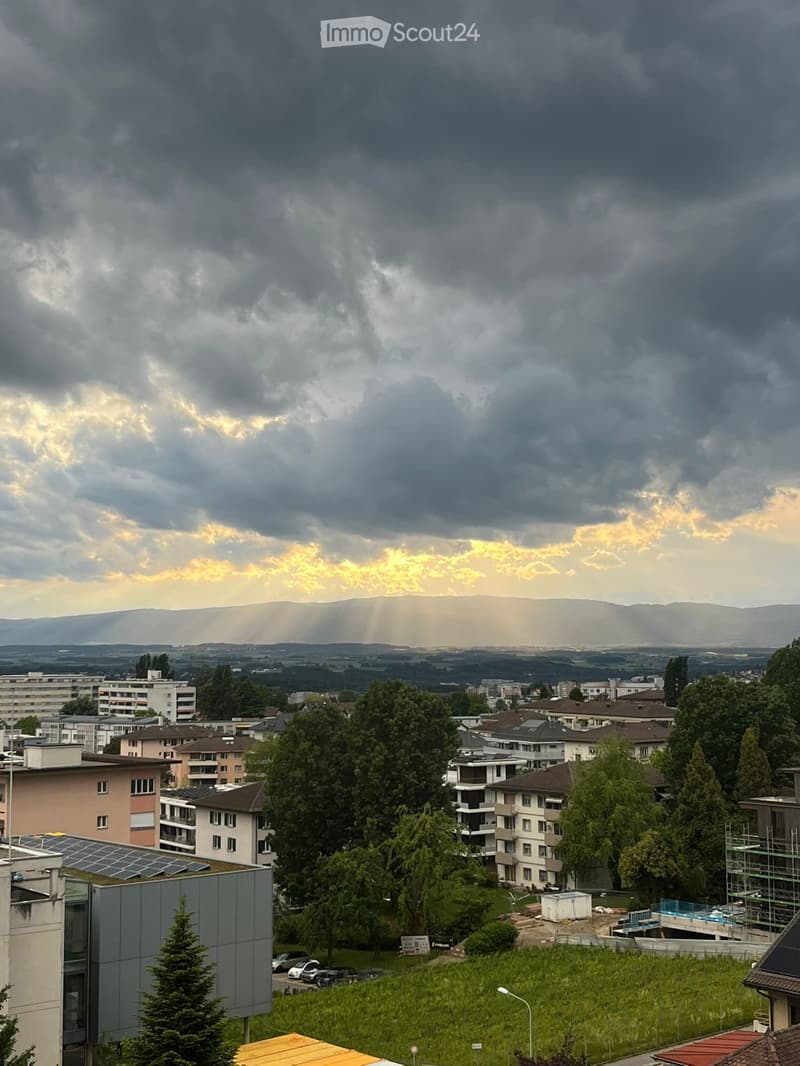 Appartamento di 2 locali soleggiato (2)