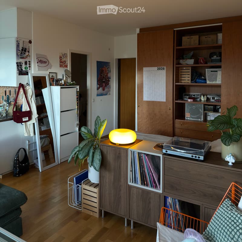 Ripreso in affitto: Monolocale 35m2 a Champel (4)