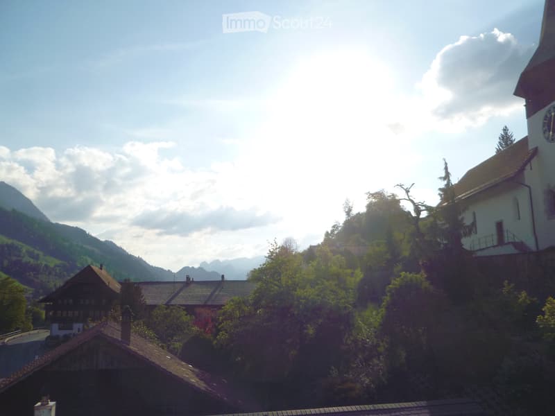 Appartamento 3 1/2 locali luminoso con balcone soleggiato in affitto (5)