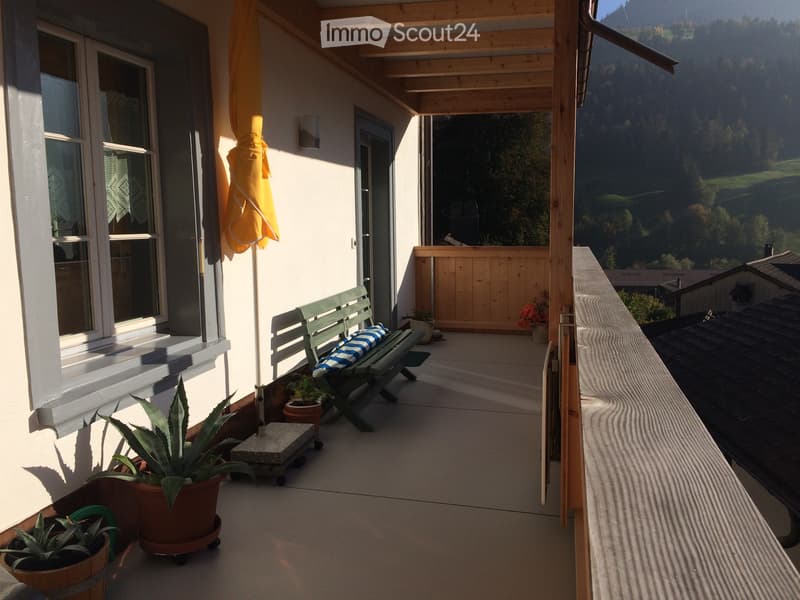 Appartamento 3 1/2 locali luminoso con balcone soleggiato in affitto (4)