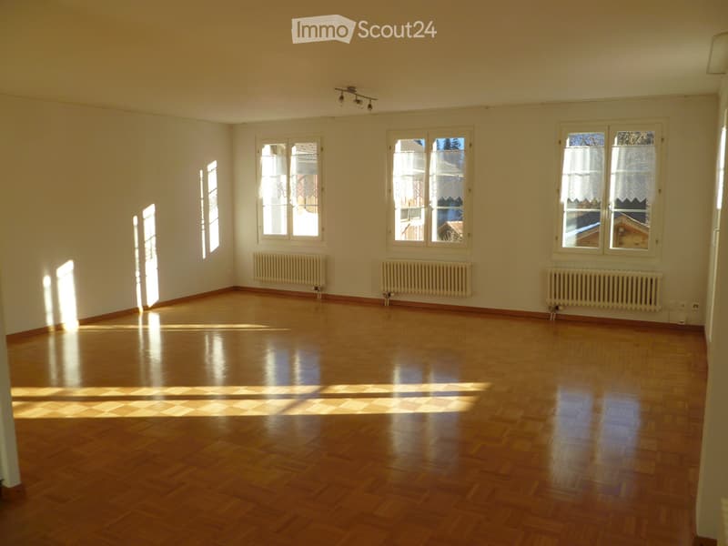 Appartamento 3 1/2 locali luminoso con balcone soleggiato in affitto (3)