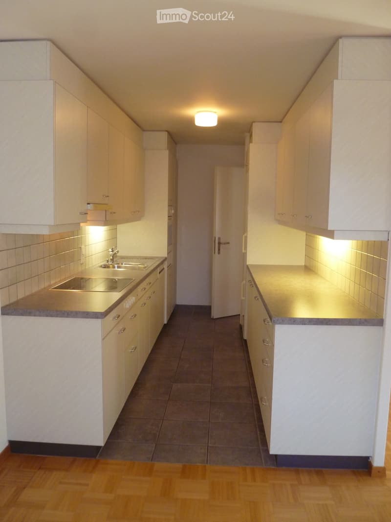 Appartamento 3 1/2 locali luminoso con balcone soleggiato in affitto (2)