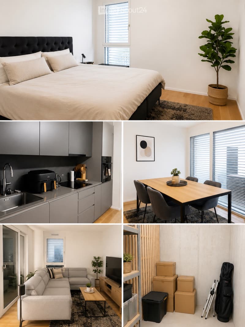 Bello appartamento moderno di 2,5 locali (1)